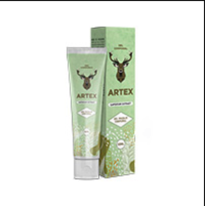 ARTEX 1
