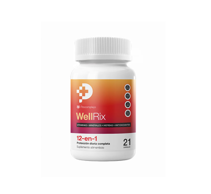 WellRix 1